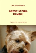 Breve storia di Min